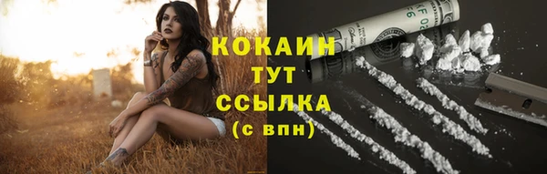 крисы Абдулино