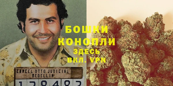 гидропоника Алзамай