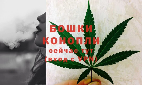 крисы Абдулино