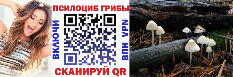 Галлюциногенные грибы ЛСД купить наркотики цена blacksprut tor Курск